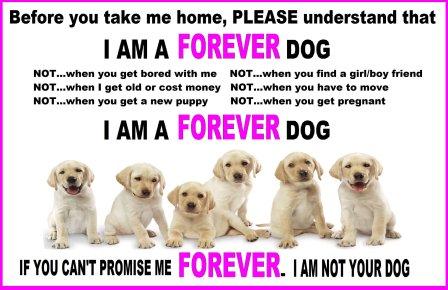 forever