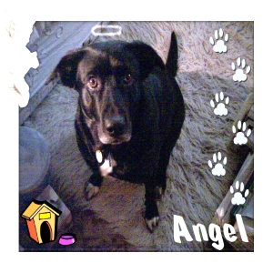 Angel