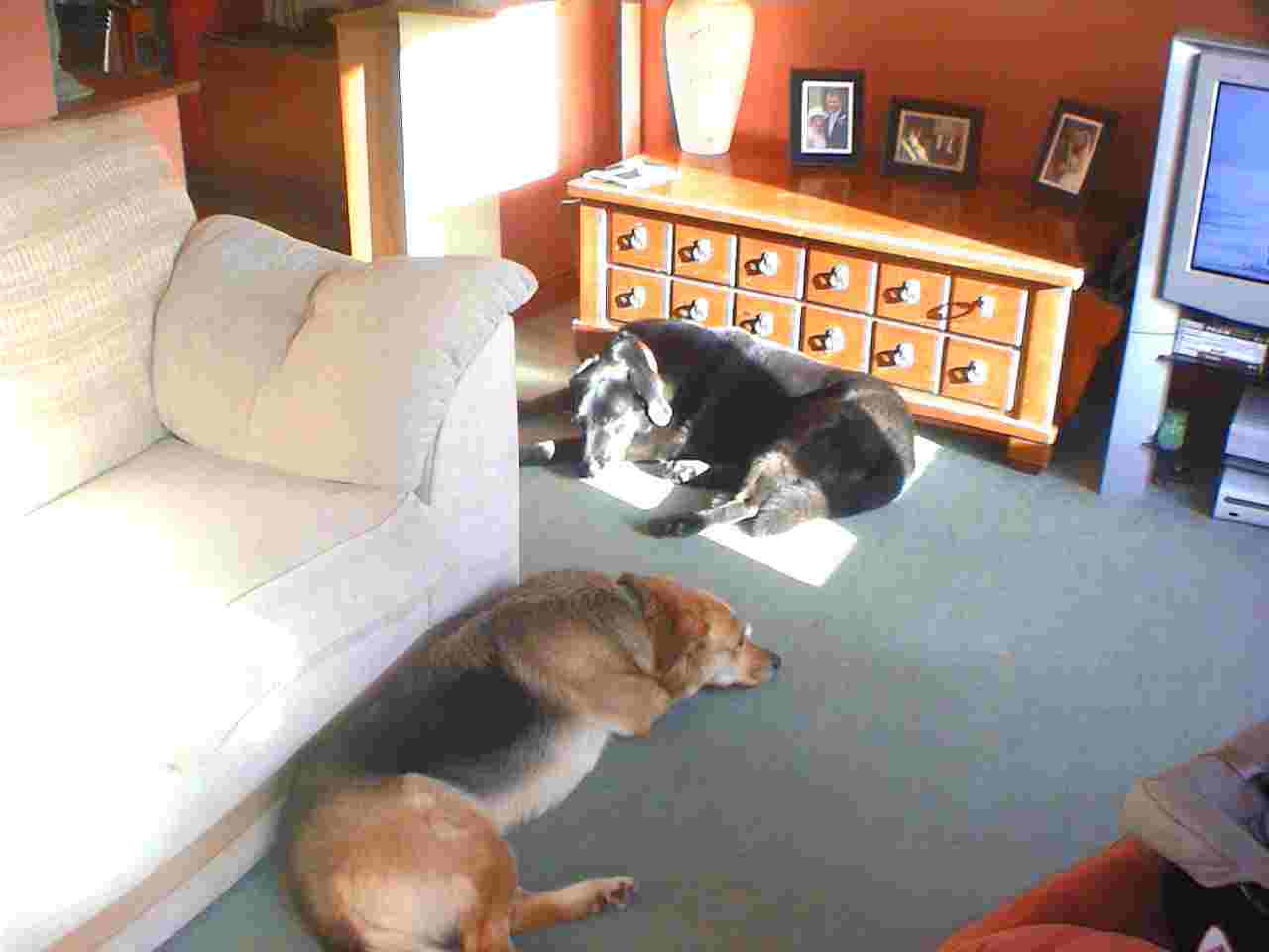 Barney & Millie