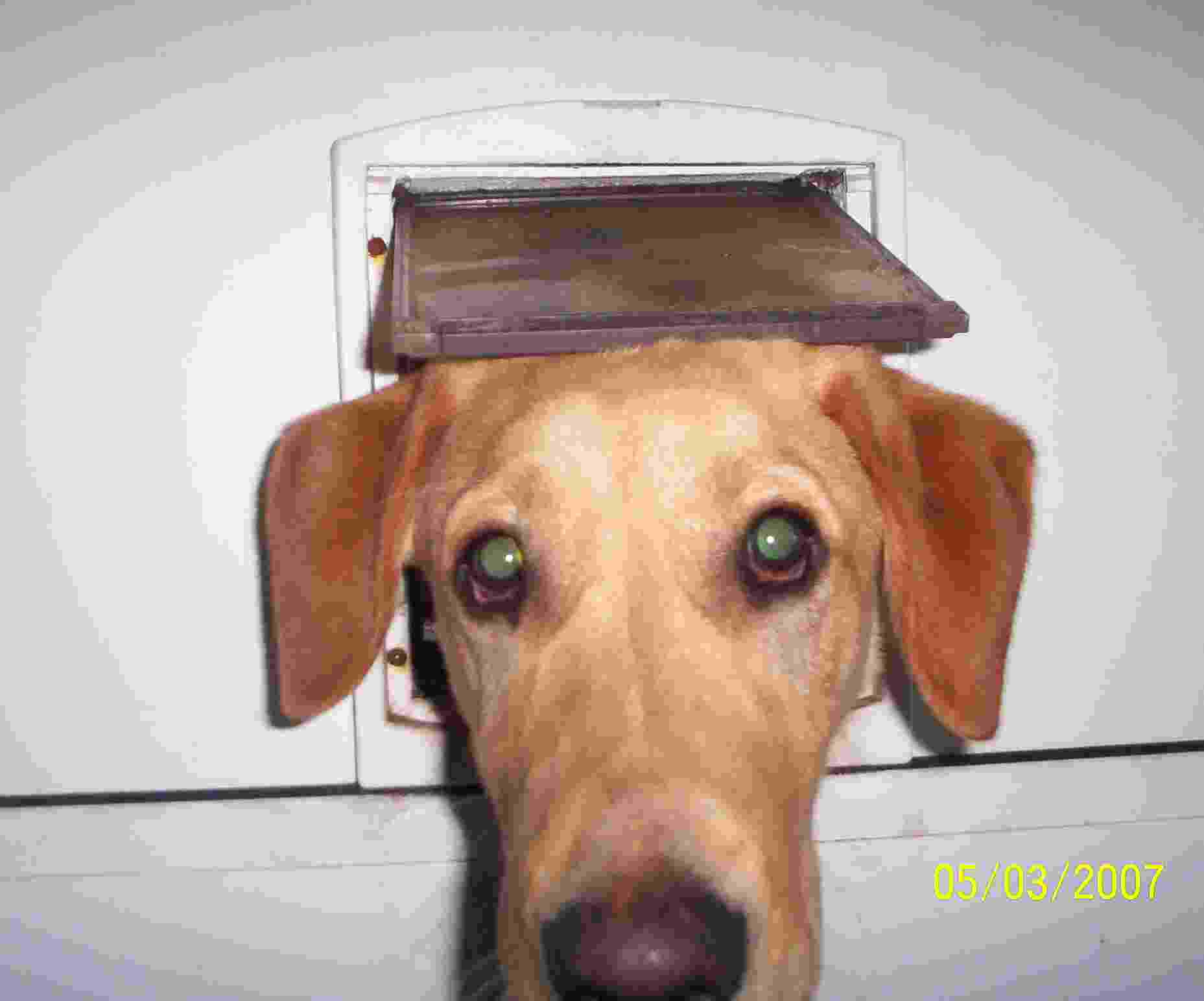 max
