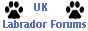 Labrador Forums