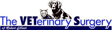 The Veterinary Surgery