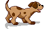 Bark